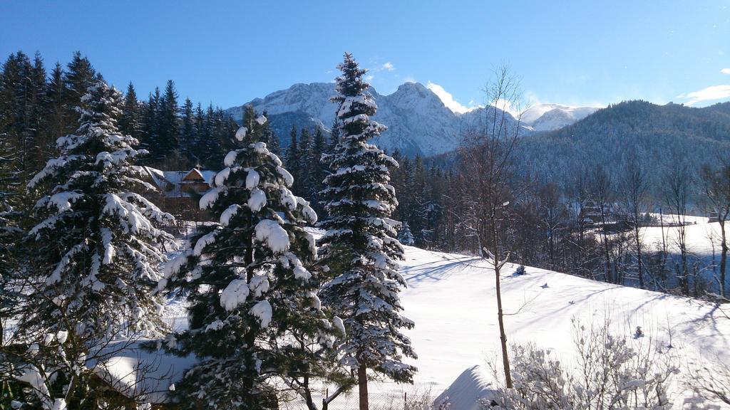 Villa Tatrydom Zakopane Szoba fotó