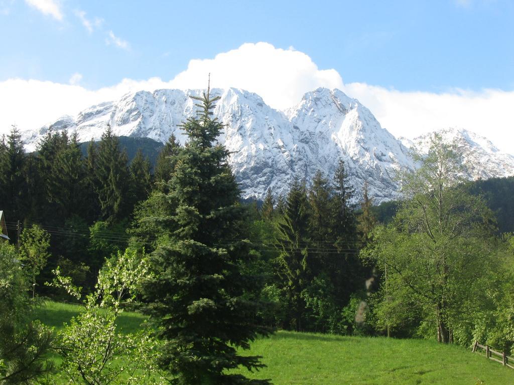 Villa Tatrydom Zakopane Kültér fotó